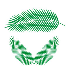 Tropical Palm Leaf Design