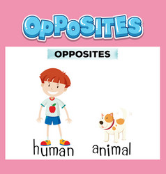 Opposite English Words For Kids