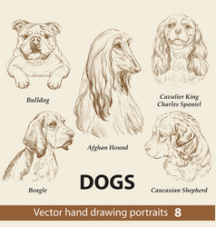 Set Of Hand Drawing Dogs Part 8