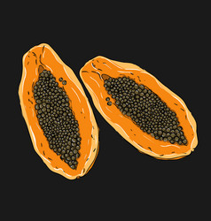 Vivid Of Papaya Slices