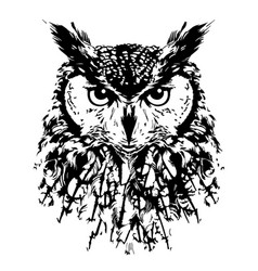 Owl Face Wild Bird Hand Drawn Sketch