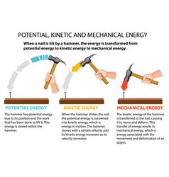 Potential Kinetic And Mechanical Energy