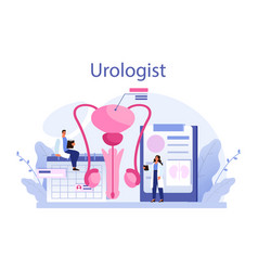 Urologist Concept Idea Of Kidney And Bladder