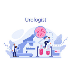 Urologist Concept Idea Of Kidney And Bladder