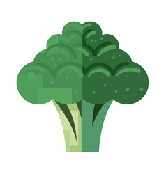 Flat Broccoli Design