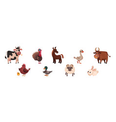 Farm Animals With Sheep Cow Poultry And Horse