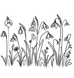 A Black And White Drawing Of Field Flowers