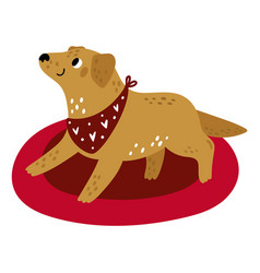 Cute Golden Retriever Lying On Red Dog Bed Happy