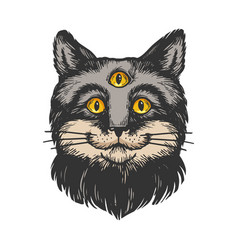 Cat With Three Eyes Engraving