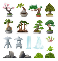 Bonsai Tree Set