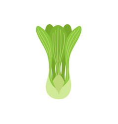 Pak Choi Flat Doodle Green