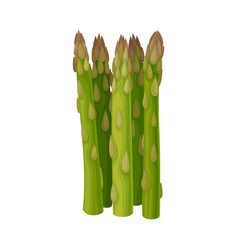 Fresh Green Asparagus Spears