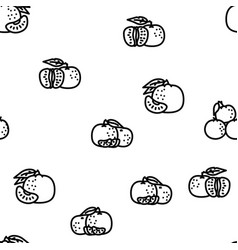 Mandarin Citrus Fruit Seamless Pattern