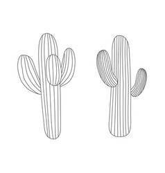 Cactus Line Drawing Retro Boho Style