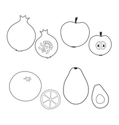 Black And White Simple Drawing Of Ripe Fruit