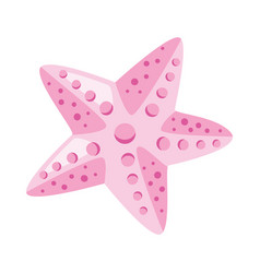 Pink Starfish Cute