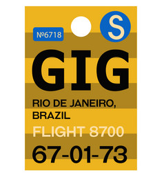 Rio De Janeiro Airport Luggage Tag