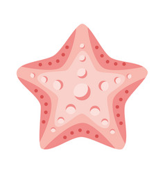 Pink Starfish