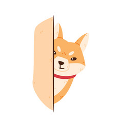 Akita Inu Dog Peeking From Behind Corner