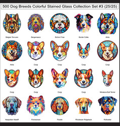 Colorful Dog Breeds Stained Glass Cute Dogs