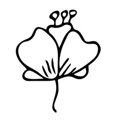 Hand Drawn Flower Clipart