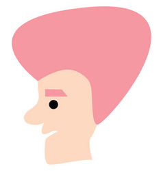 Man With High Pink Hair On A White Background