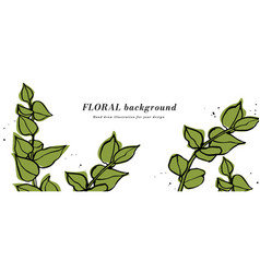 Background Or Banner With Green Eucalyptus