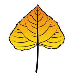 Poplar Leaf Orange To Yellow Colour