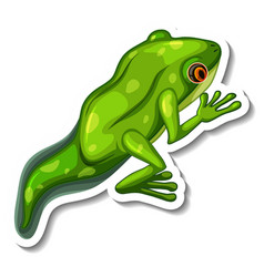 A Sticker Template With Froglet Isolated