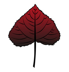 Poplar Leaf Red To Black Colour