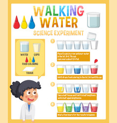 Walking Water Science Experiment