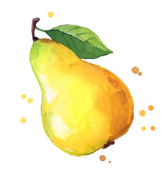 Juicy Ripe Yellow Sweet Pear Watercolor