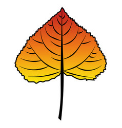 Poplar Leaf Red To Yellow Colour