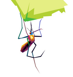 Colorful Mosquito Design