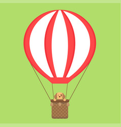 Cute Dog Riding A Hot Air Balloon