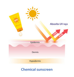 Chemical Sunscreen Absorbs Uv Rays