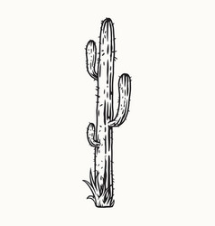 Tall Cactus With Thorns In Monochrome Style