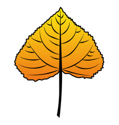 Poplar Leaf Yellow To Orange Colour