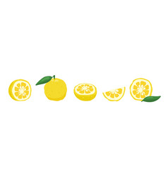 Yuzu Japaness Citron Fruit