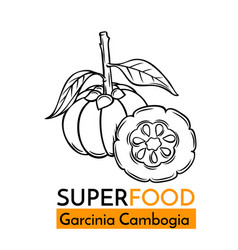 Icon Superfood Garcinia Cambogia