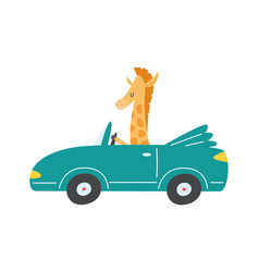 Giraffe In Cabriolet