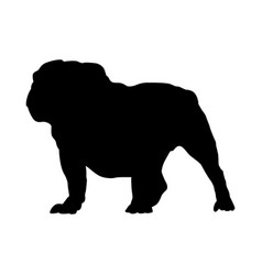 English Bulldog Silhouette Vector Images (over 150)