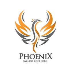 Phoenix circle Royalty Free Vector Image - VectorStock