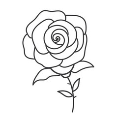 Rose Flower Line Icon Isolated Flat Design