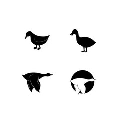 Duck Logo Icon Template