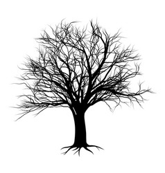 Tree Silhouette