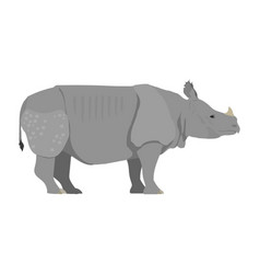 Rhinoceros Sondaicus - Javan - Sideview