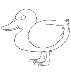 Black And White Line Art Of A Duck