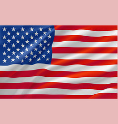 Flag Of Usa 3d Banner