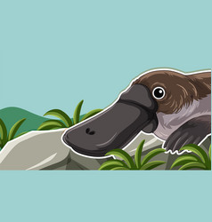 Thumbnail Design With Platypus